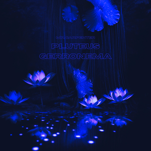 Pluteus Gerronema