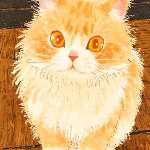 《过期的约定》