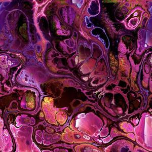 CANT HANG (feat. Trapgokrazy)