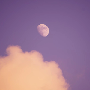 没什么情话但是都说给你听