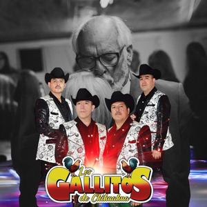 Se lo deje al tiempo-Los Gallitos de Chihuahua (feat. Los Gallitos de Chihuahua)