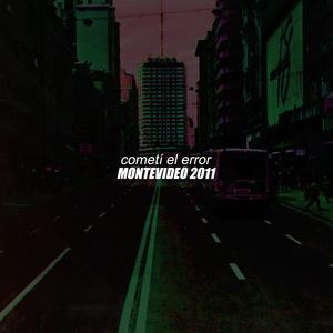 cometí el error