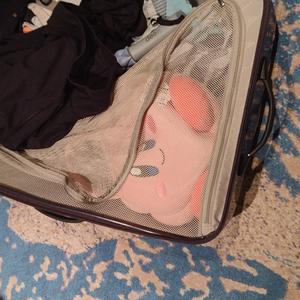 .. .-.. --- ...- . -.-- --- ..-