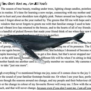 Don't i Also Deserve Peace after the Storm?