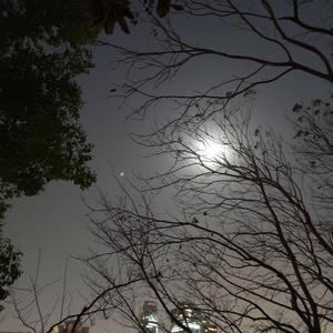 网易云11