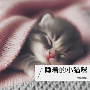 美好梦境-钢琴入眠