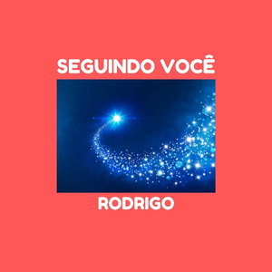 Seguindo Você