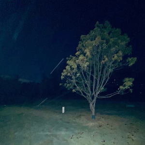 不合格的Part n+2