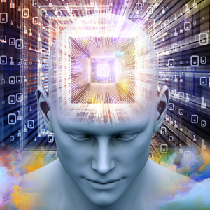 脳を活性化する シナプス回路の活性化