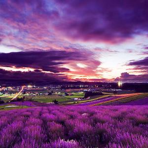 开始懂了（温柔男声版）