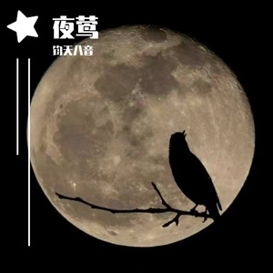 夜莺