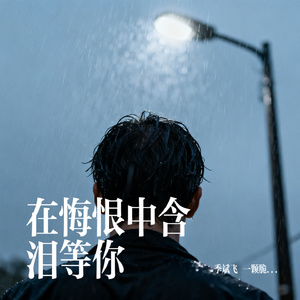 在悔恨中含泪等你