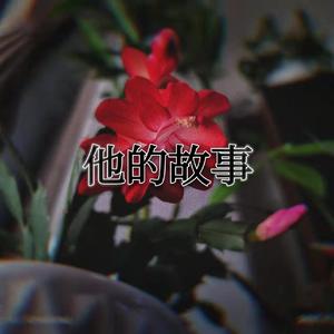 他的故事