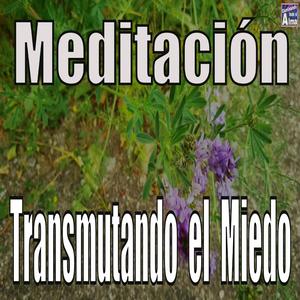 Meditación. Transmutando el Miedo.