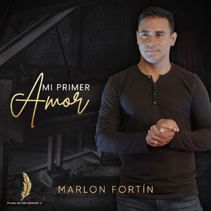 Te Entregaste por Amor