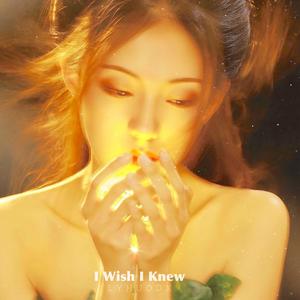 Can t Fall in Love Without You