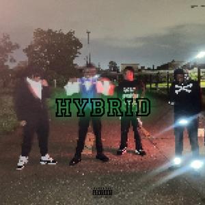 Hybrid
