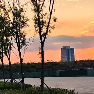 爱情的悄然降临_1