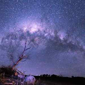 坠落星空(铃声版)