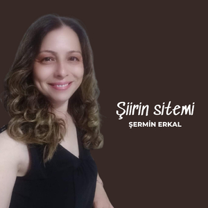 Şiirin Sitemi