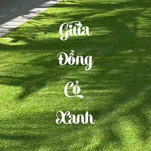 Giữa đồng cỏ xanh