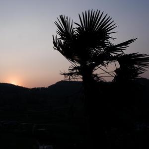 不见有情（cover河图）