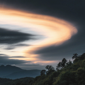 风中望着你远去