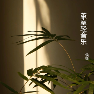 茶室轻音乐3