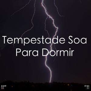 호우 잠