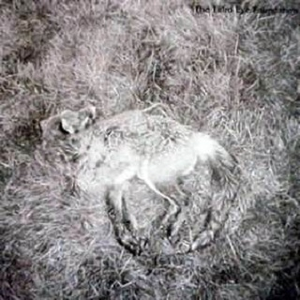 Once When I Was and Indian