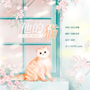 他的猫