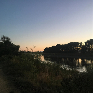 Stumbling in at Dawn