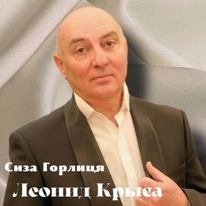 Сиза Горлиця