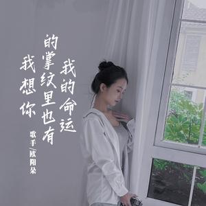 我想你的掌纹里也有我的命运-音频 伴奏