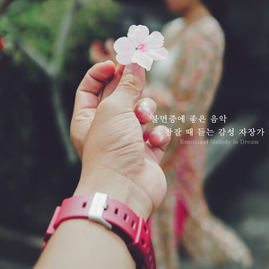 잠이 안올때 듣는 노래