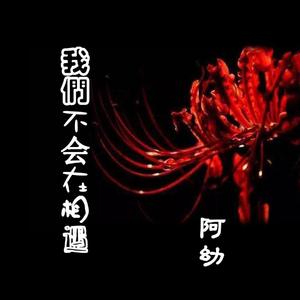 阿幼《我们不会在相遇》