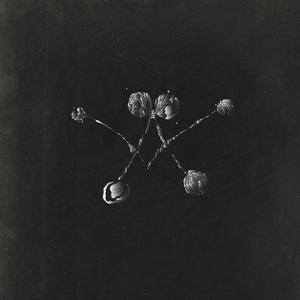 Nowhere Now (Acoustic / Solo)