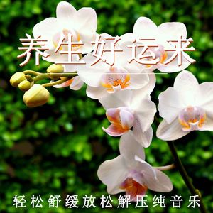 轻松好运来（轻音乐）