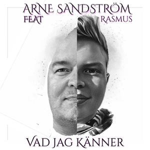 Vad jag känner (feat. Rasmus)