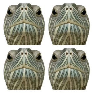 为什么要来骗我