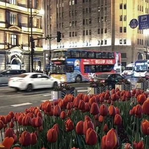 每当我（伴奏）