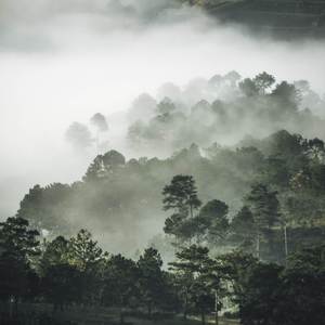 Anh Hết Thương Em Rồi (Vinahosue)