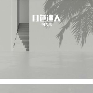 月色迷人 (Enchanting Moonlight)