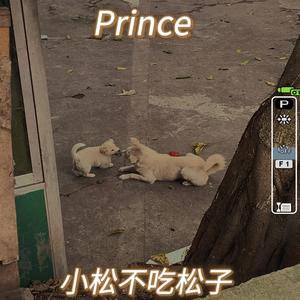 Prince