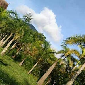 你有没有听过我的歌