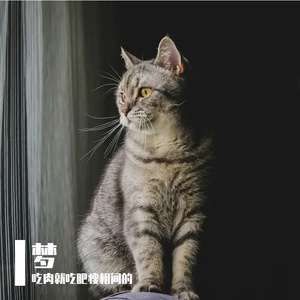 夏日凉梦