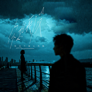 你想我了没 (伴奏|你这个偷心的贼)