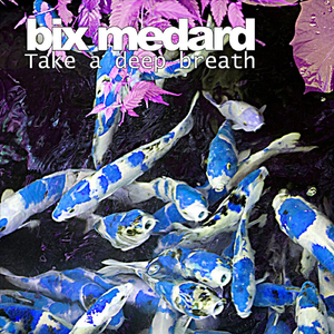 We Could Have Danced