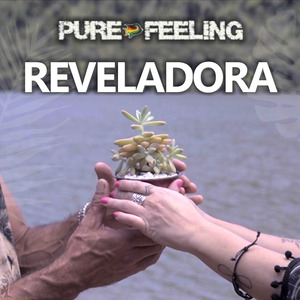 Reveladora