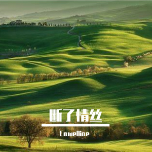 断了情丝